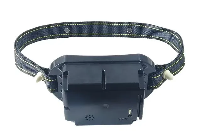 Үхрийн бэлчээрийн GPS хүзүүвч